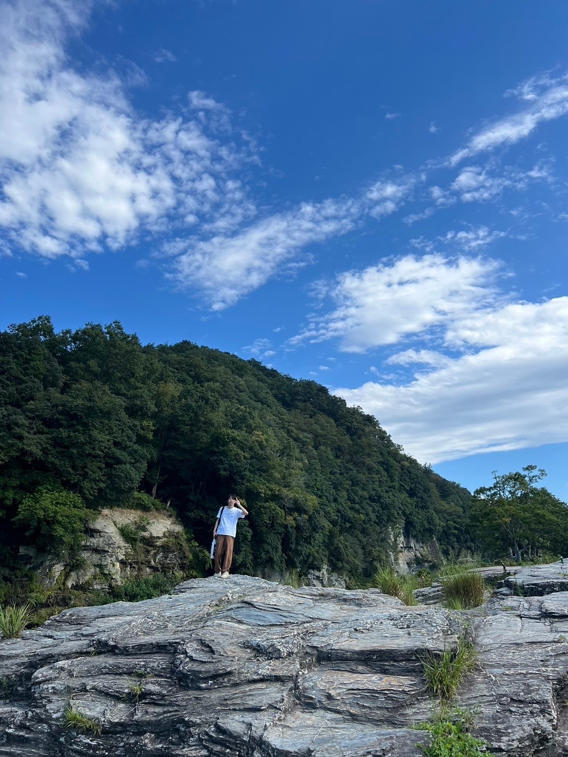 【長期インターン体験記】株式会社TOKIUMのインターン体験記