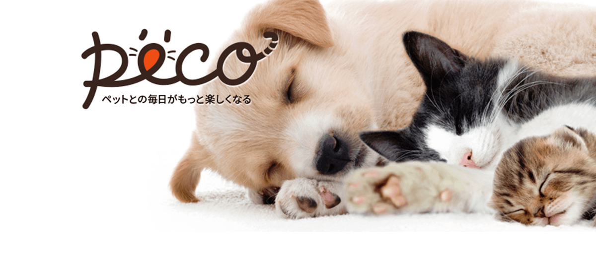 【AIスマートクリニック構築に挑む】動物病院事業オペレーションPoCインターン