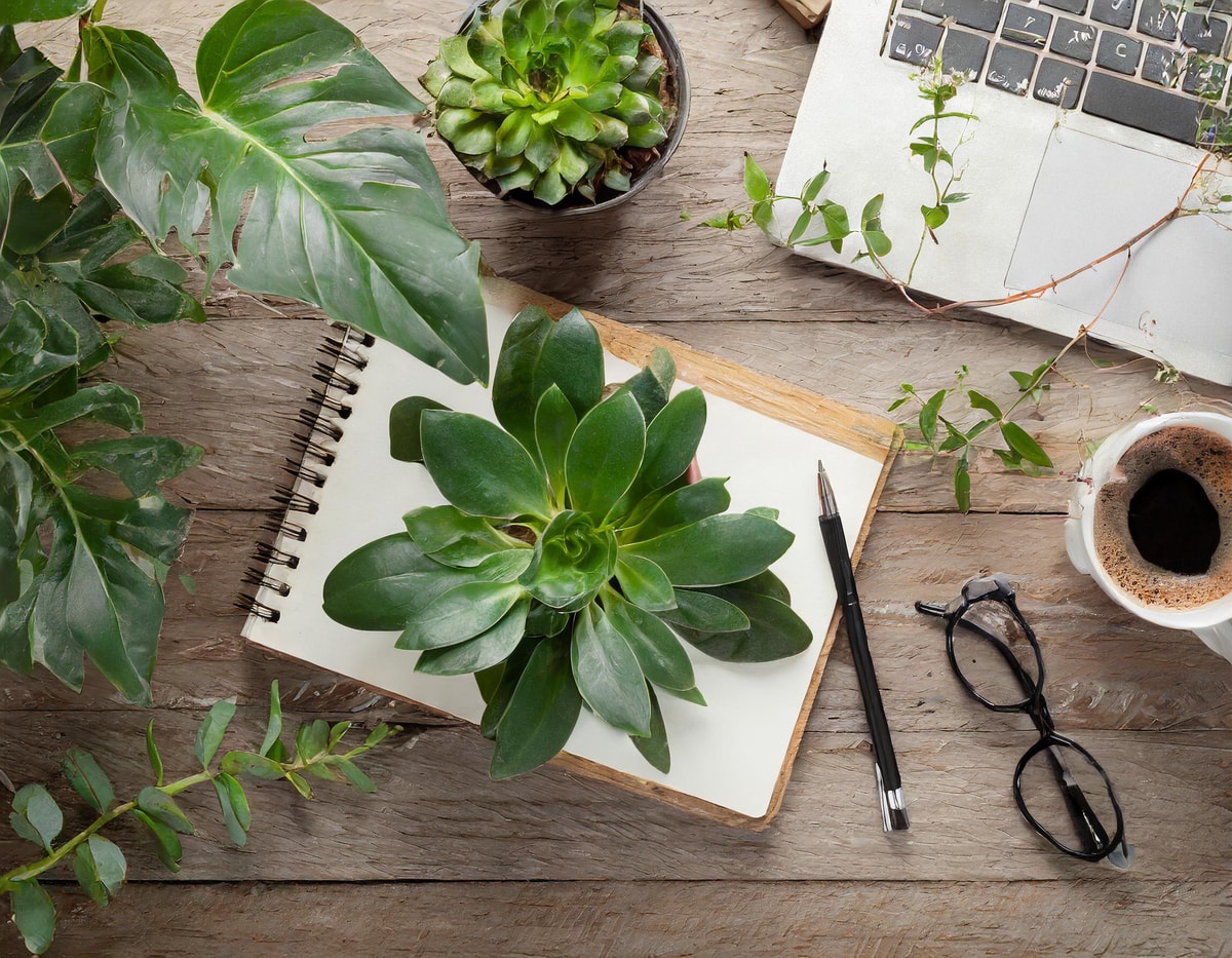 【代表直下】商品企画や広告において戦略/企画立案からクリエイティブ作成まで裁量権持って挑戦するインターン!